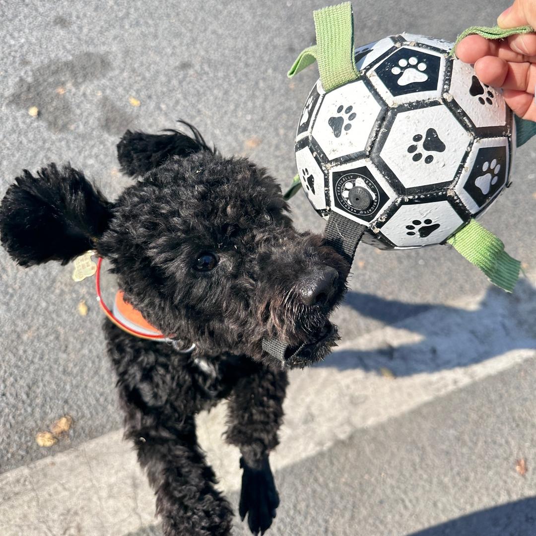 空气减震方向机就会修这俩😎