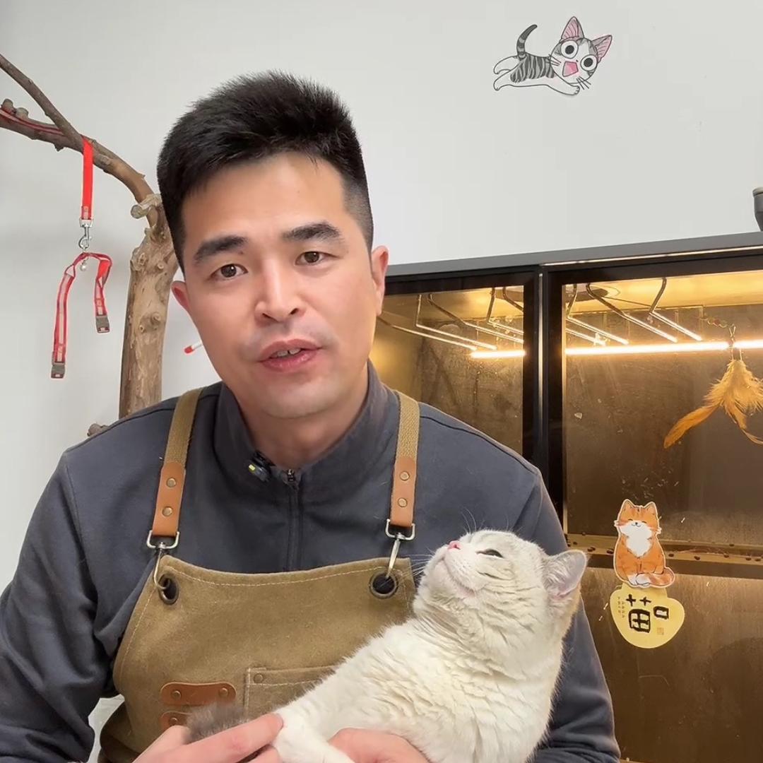 养猫宝藏