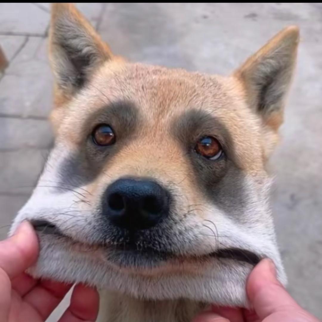 小王炸