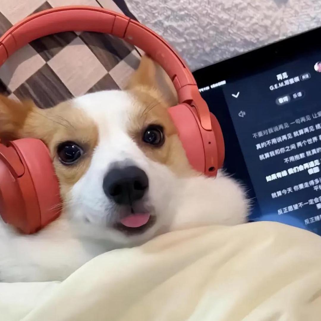 ᅠᅠᅠᅠᅠᅠᅠᅠᅠᅠᅠᅠᅠᅠᅠᅠᅠᅠᅠᅠ