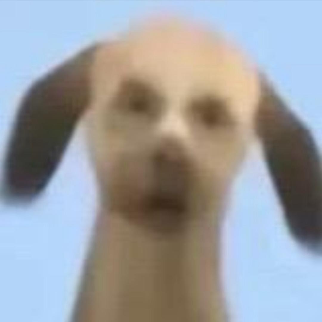 你外卖到了-