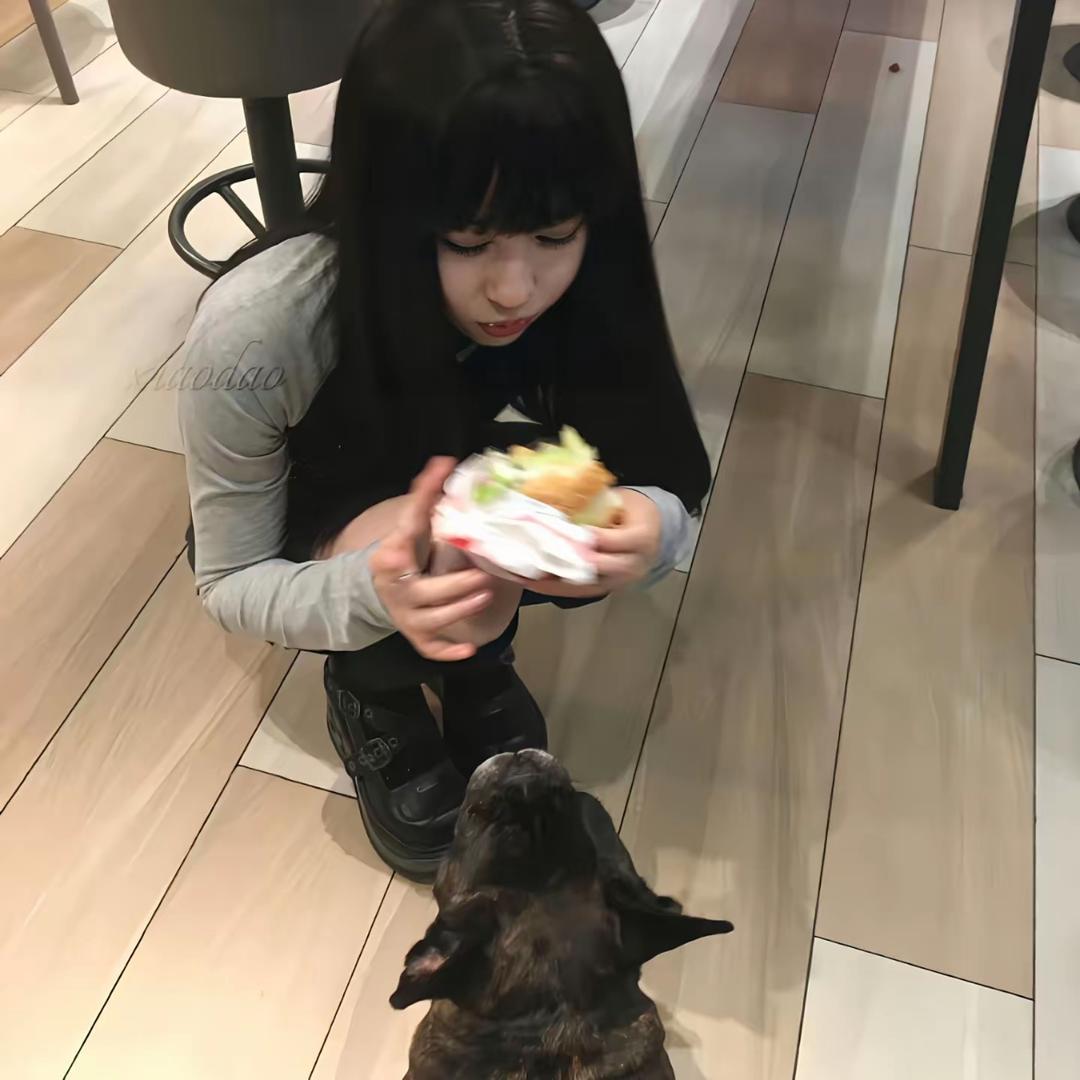 叙利亚的深情狗