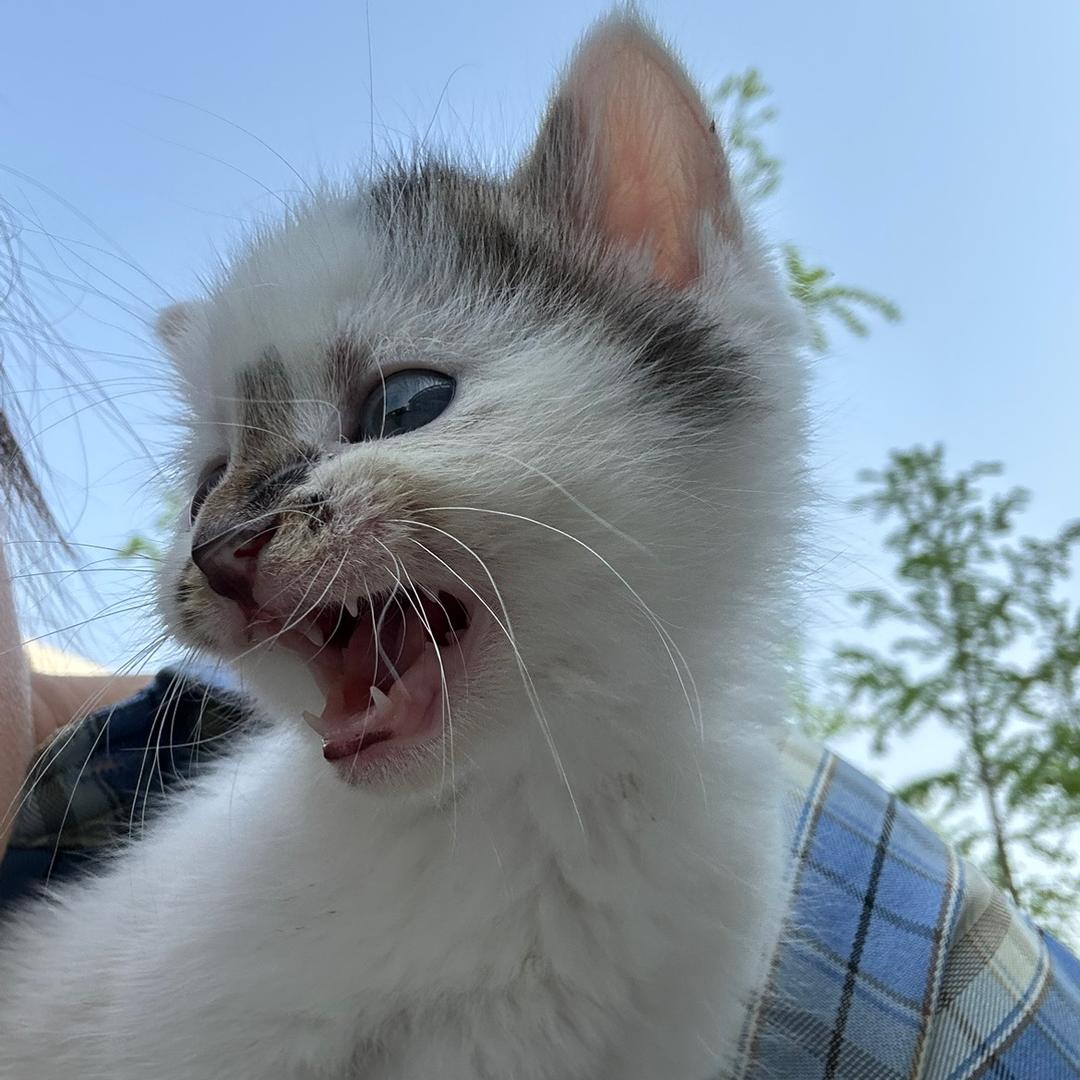 🌈荔枝皮皮🌈