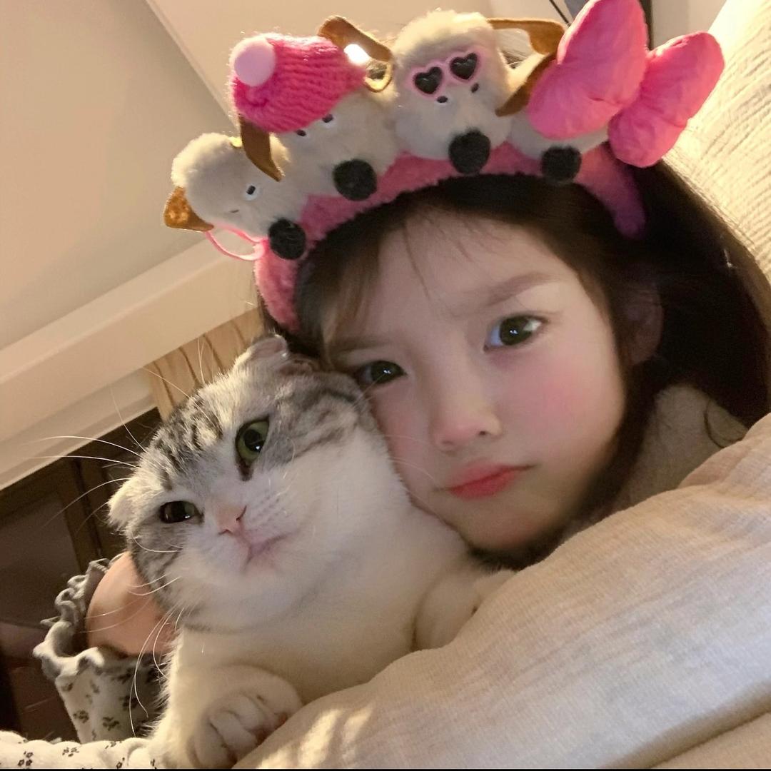 云宝