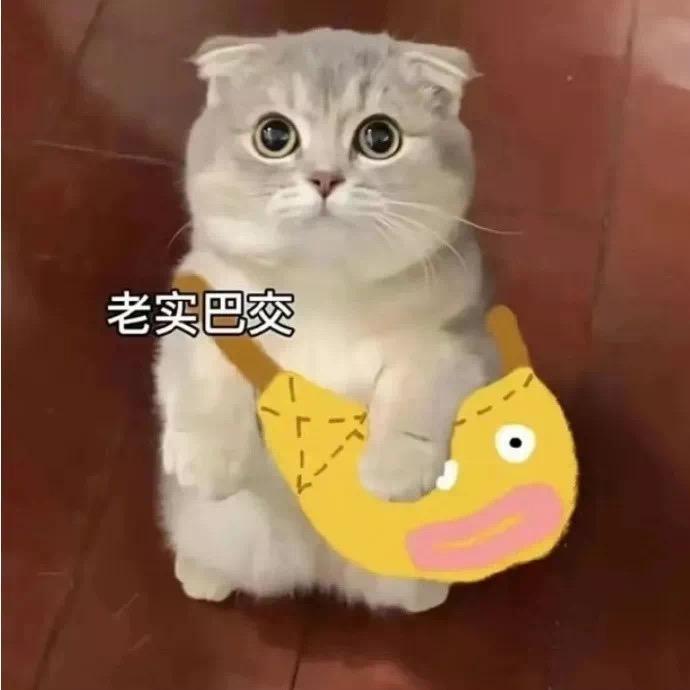 垫底的石（打工版）