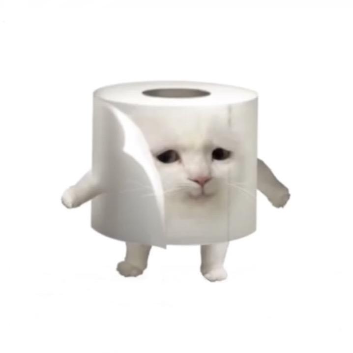 厕纸小咪