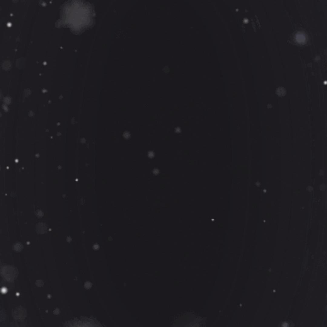 橙子味芬达