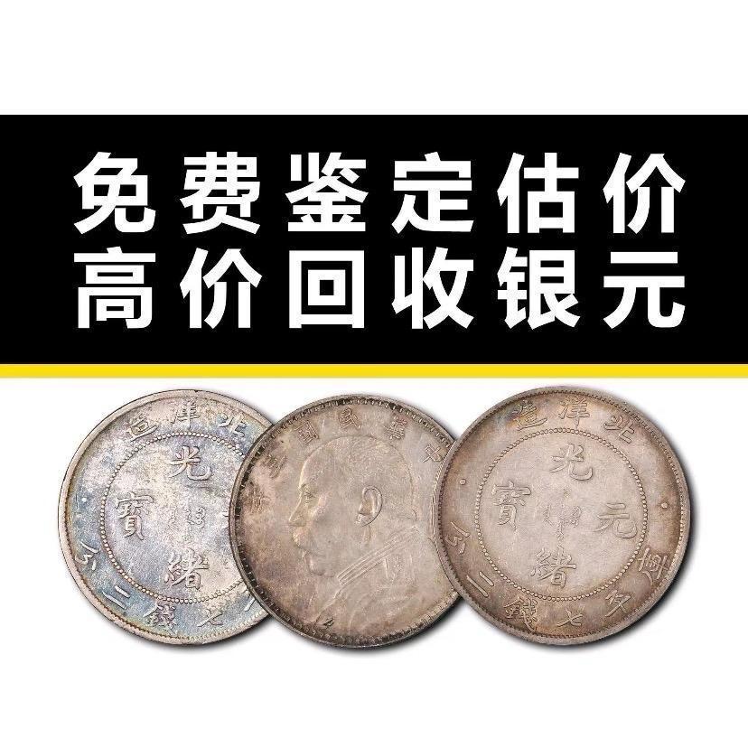 专业鉴定银元～