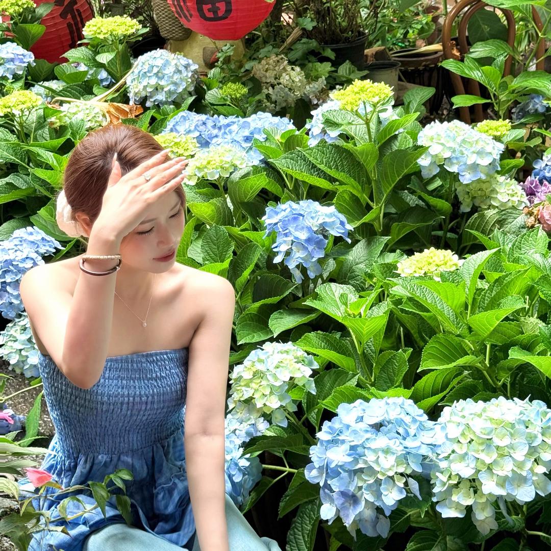 甜茶girl