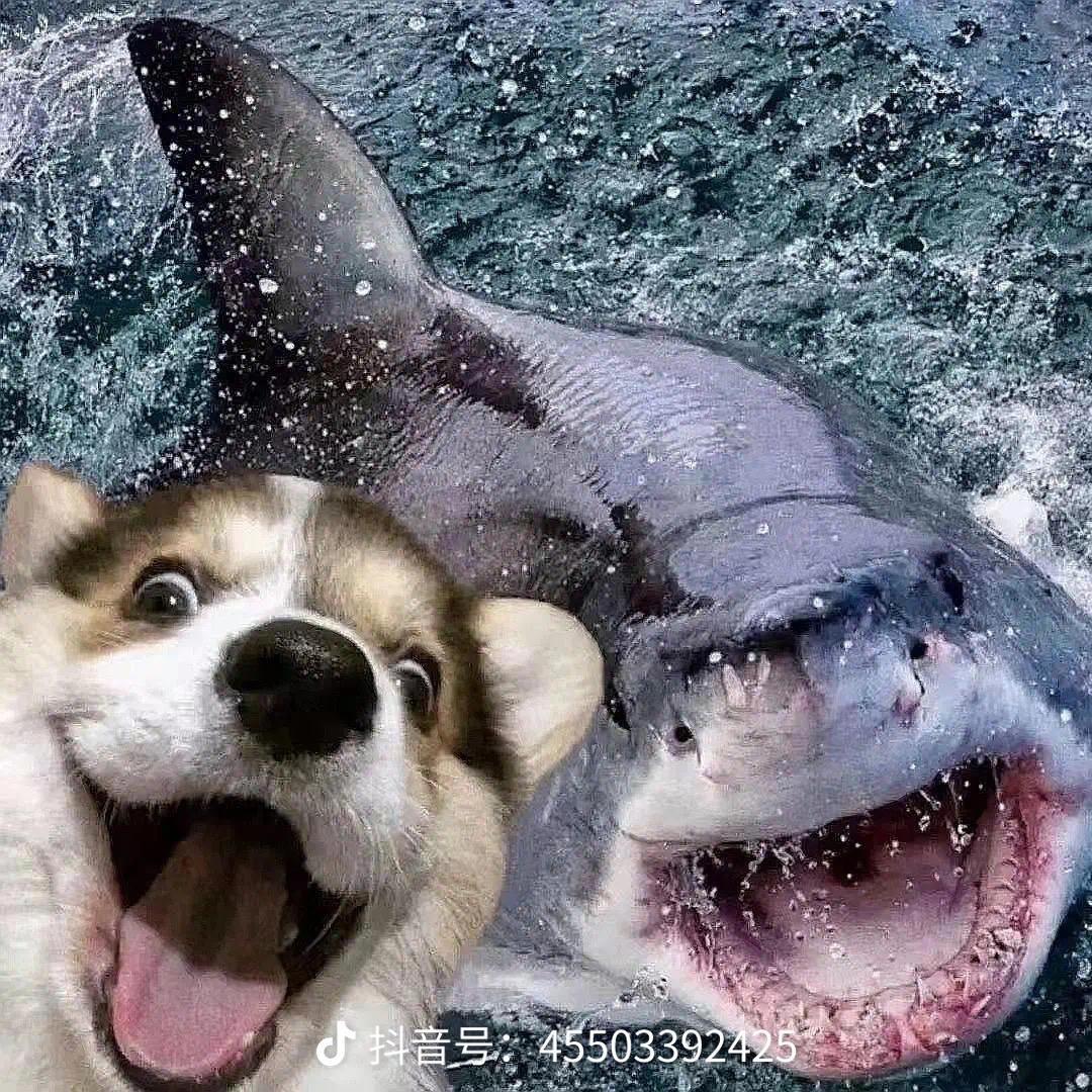 范@