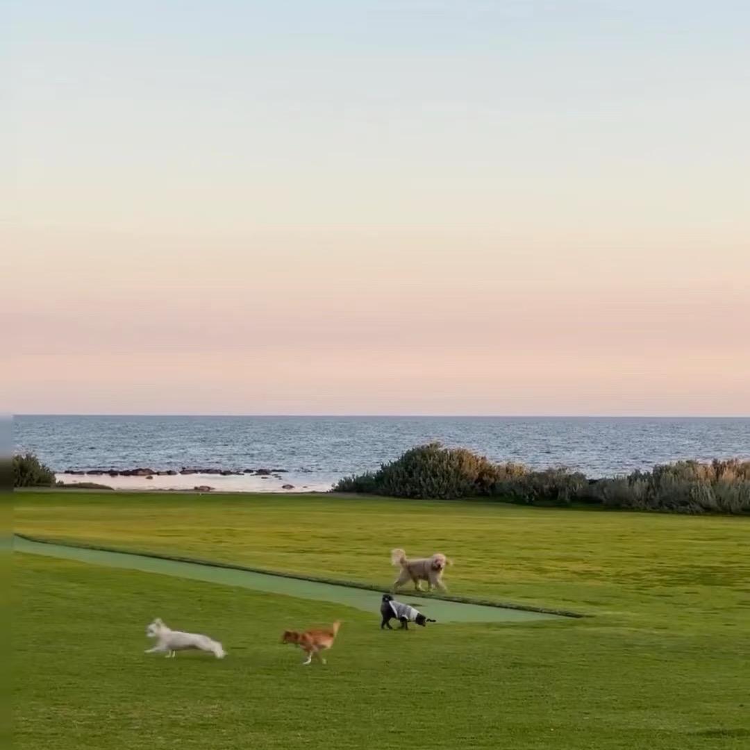 🌸 დ喜樂無憂ིྀ❀ཾ