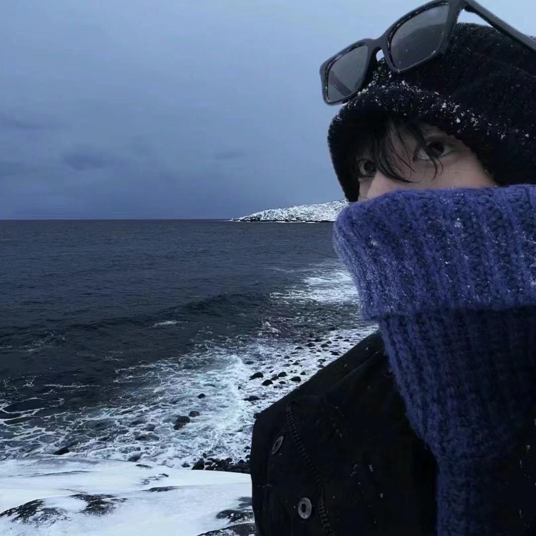 白熊💨