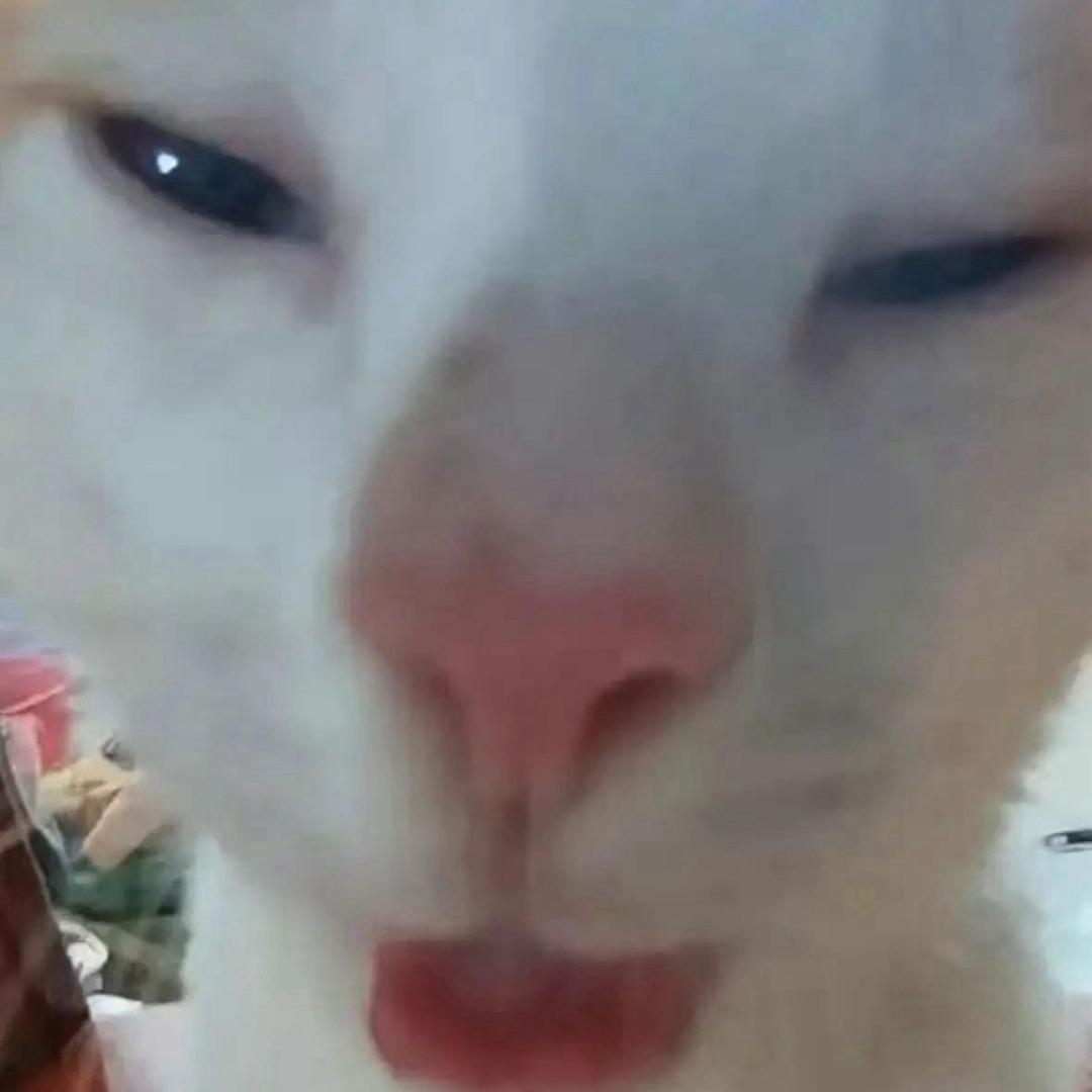 努力努力再努力sq