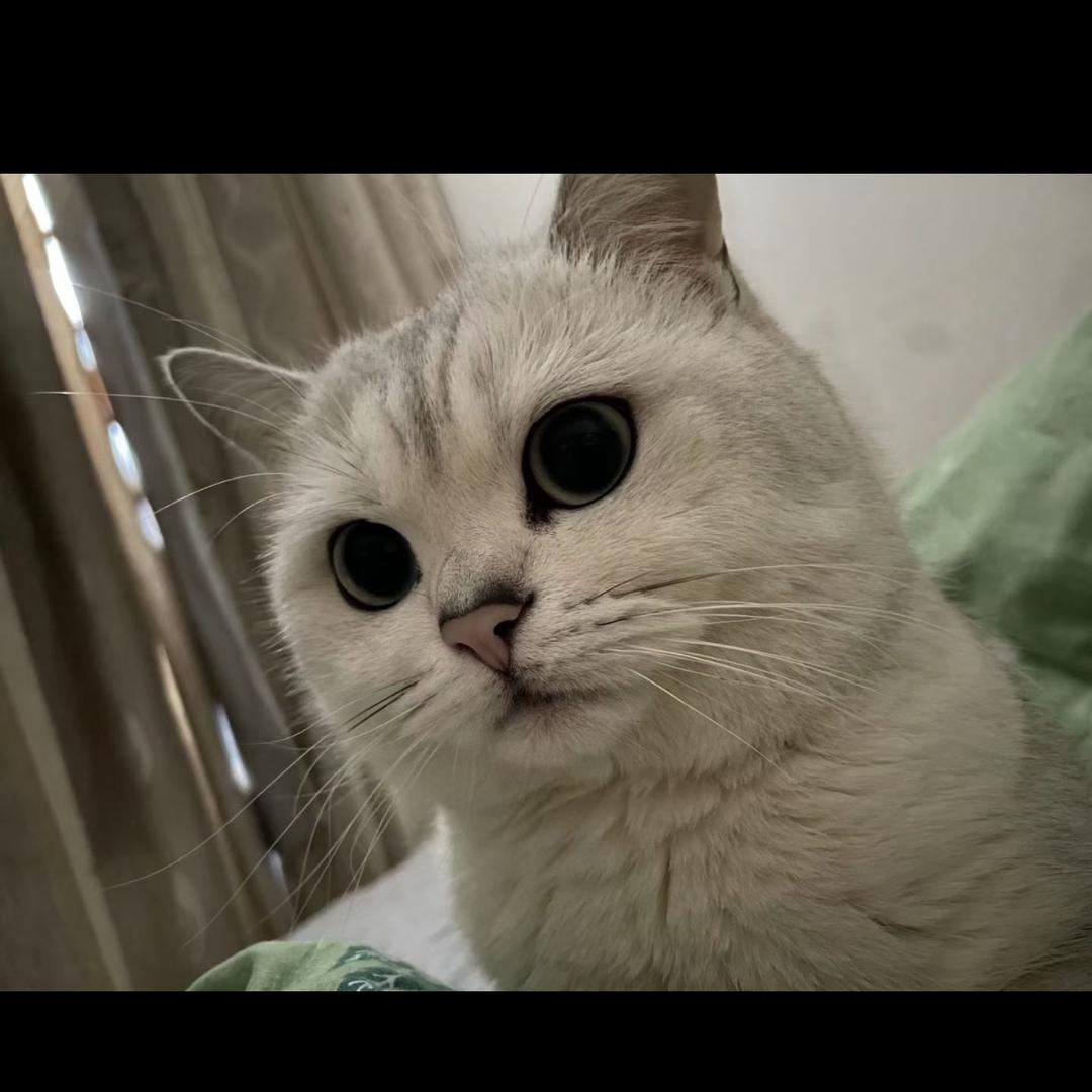 快乐人生2