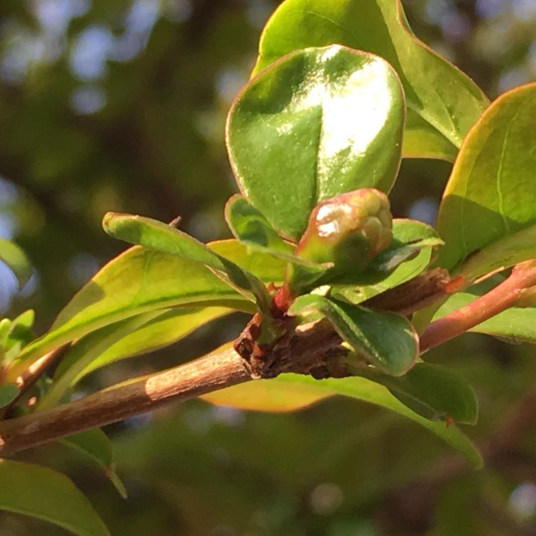 燕儿✨三快书法总校区