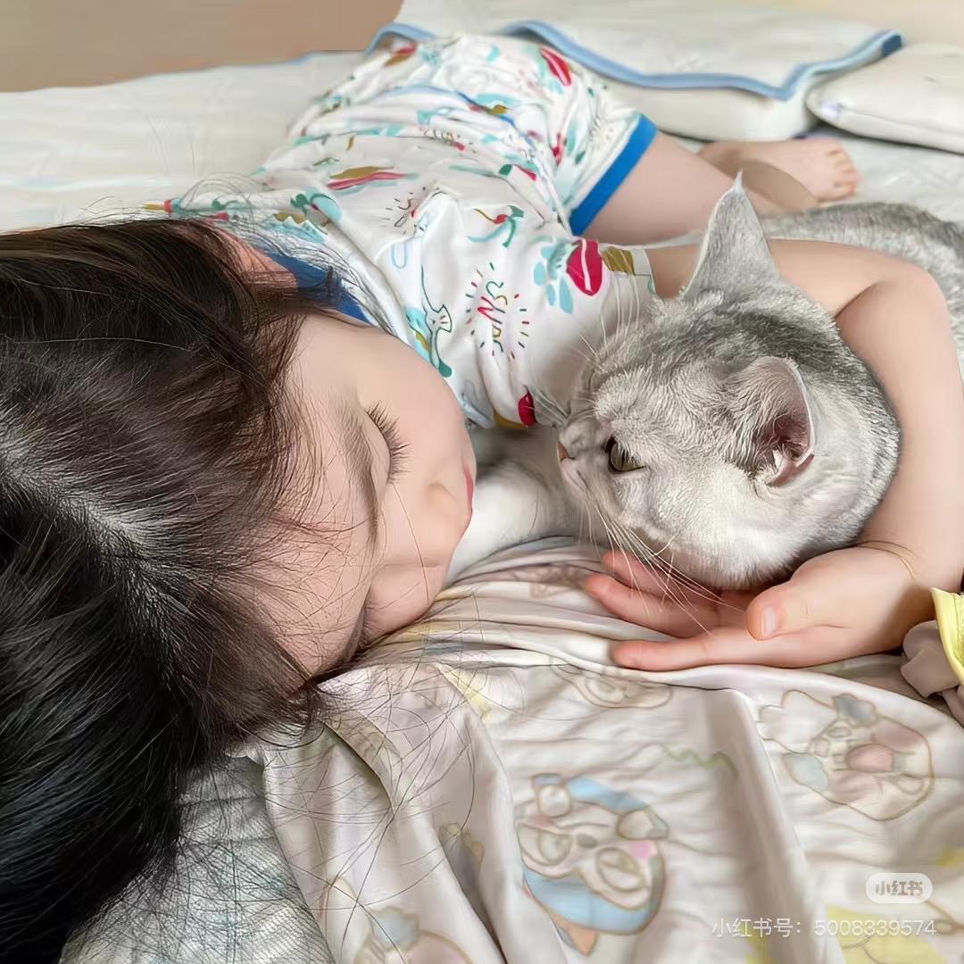 芋泥猫猫