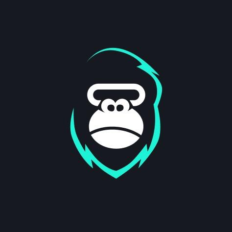 电动猩球KONG