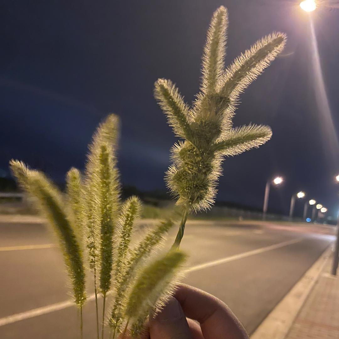 ★雁南飞★