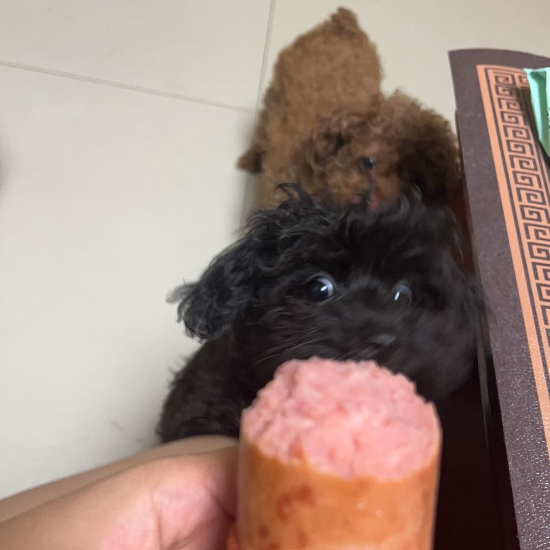 咩咩。