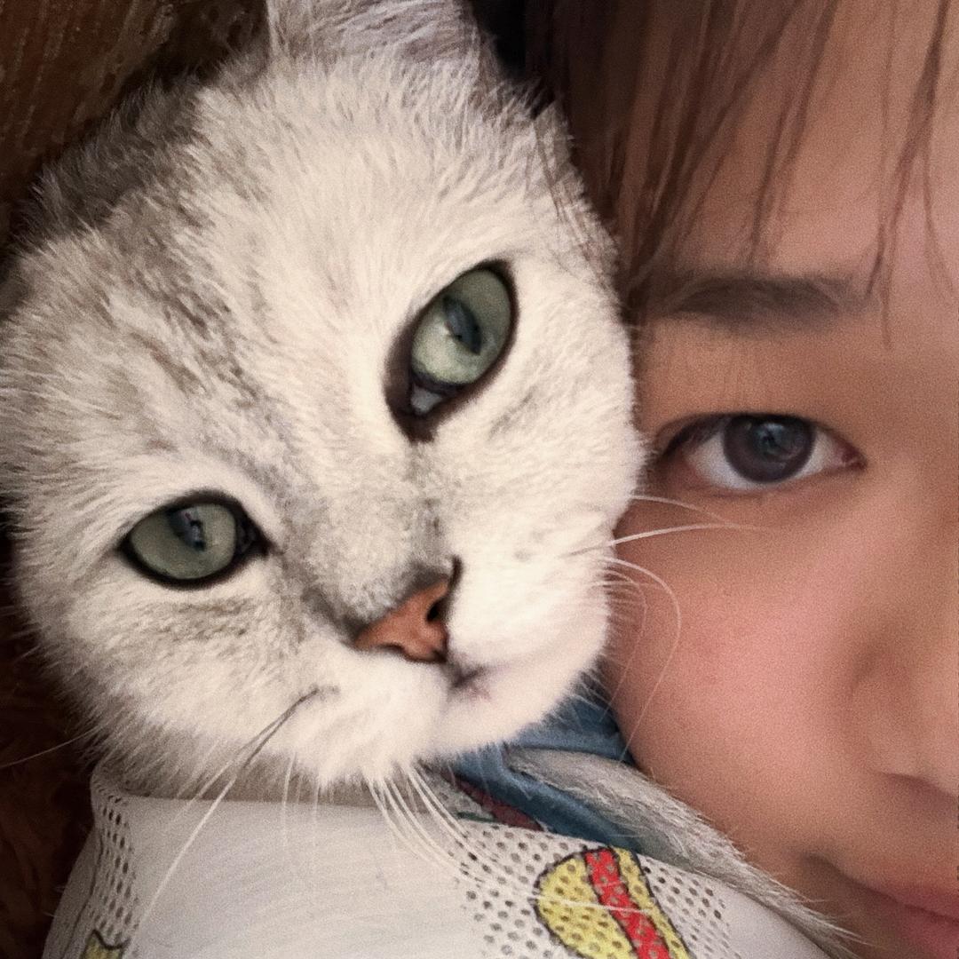 雅馨儿🐈