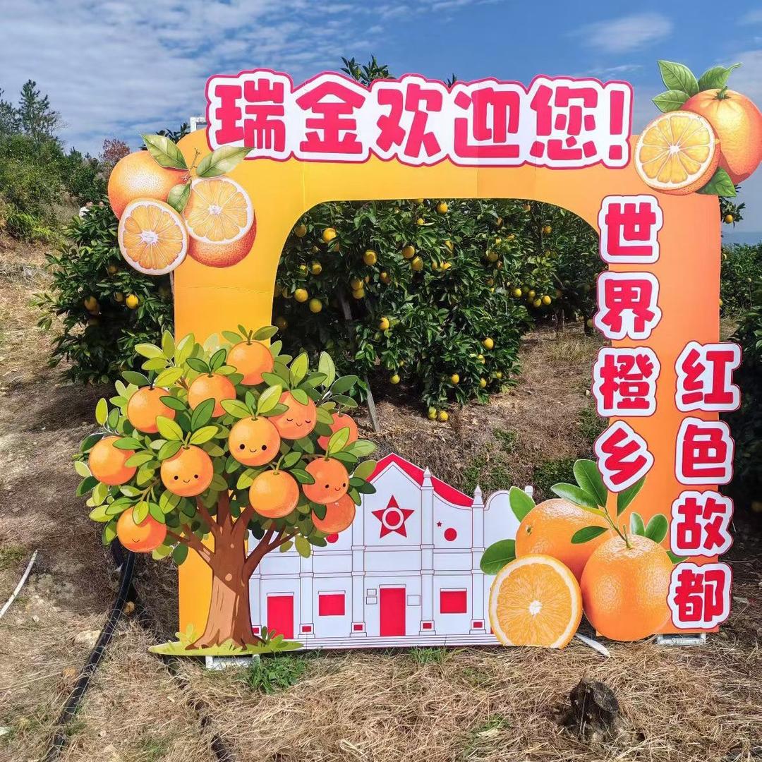 赣南脐橙-乔乔