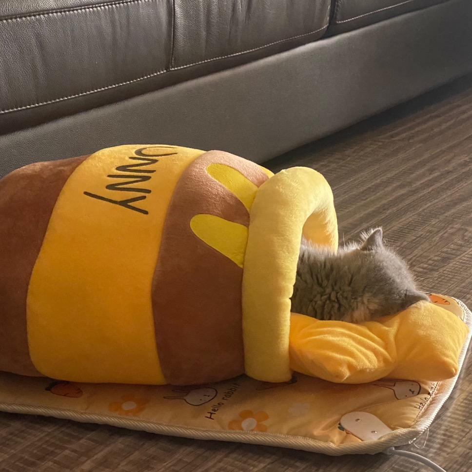 尽量晚一点投降、