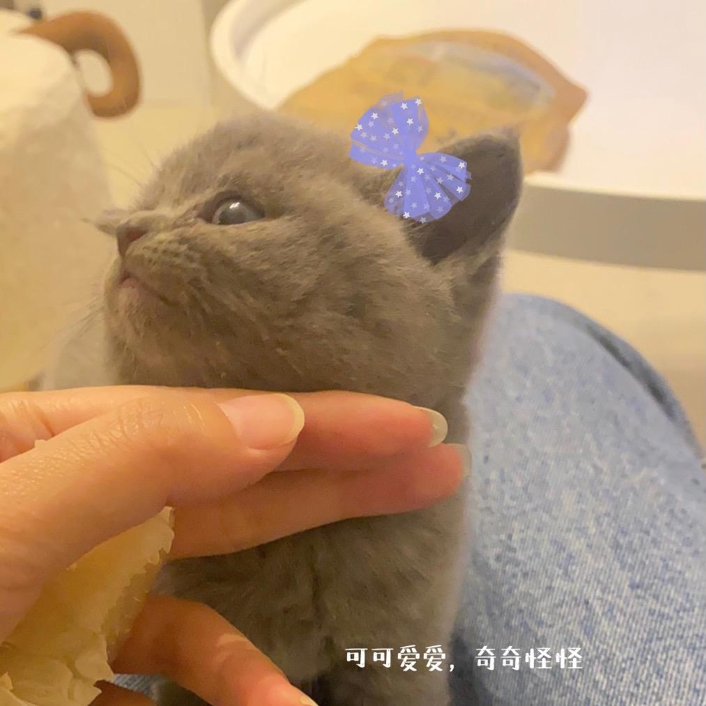 吃葡萄🍇不吐葡萄皮儿