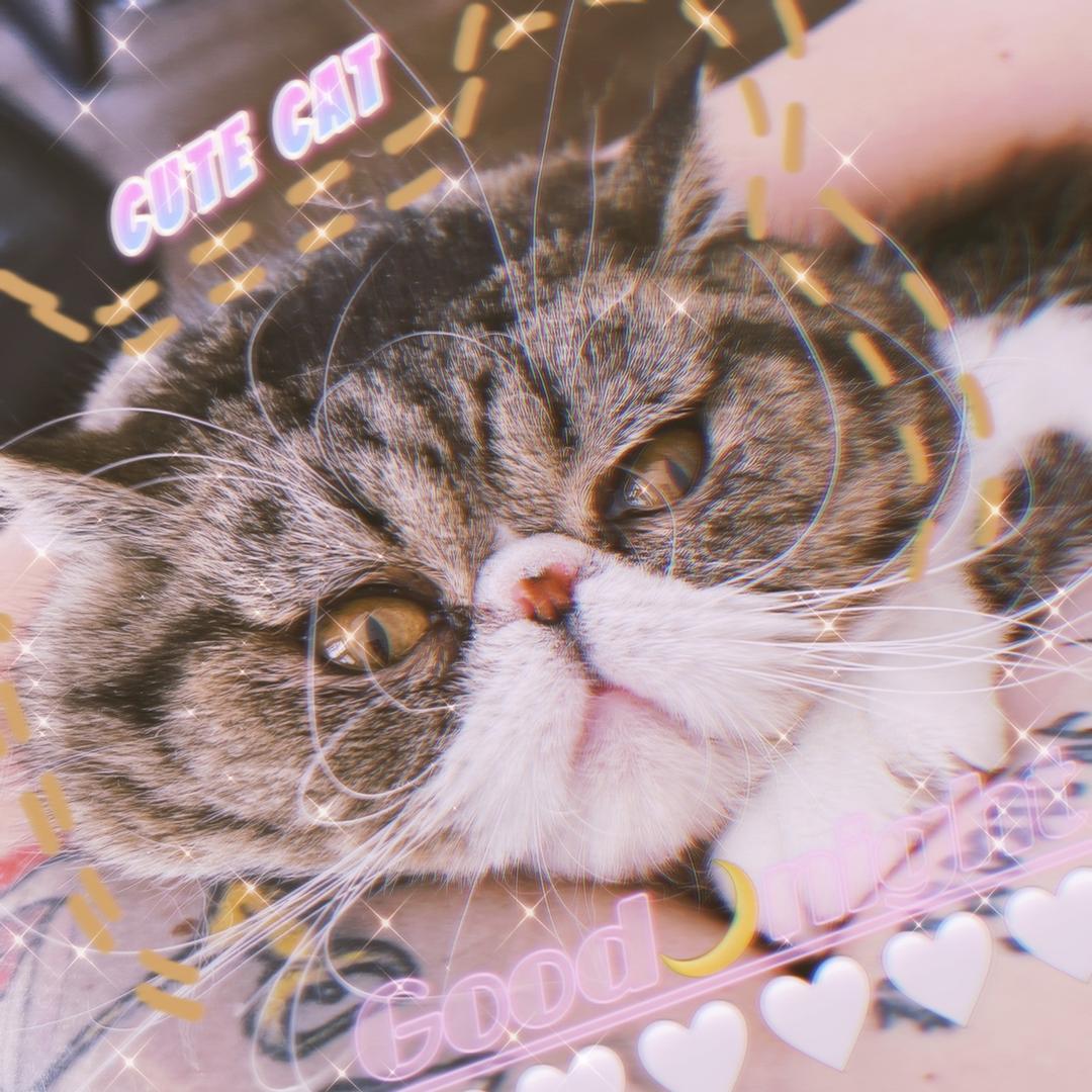 彬仔的JENNIE花儿