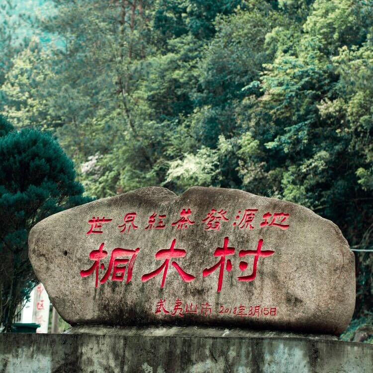 金骏眉30年老茶厂店