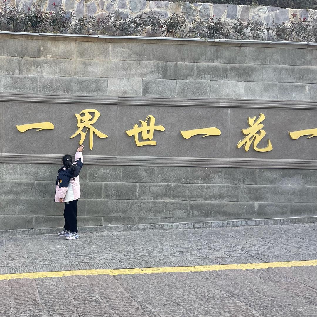 随心