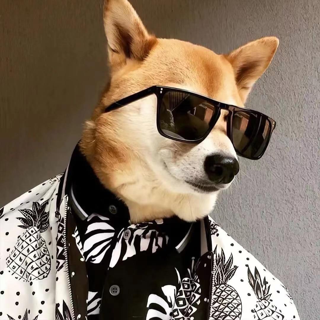 白菜叶