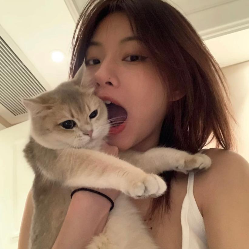 孤独的老狼🐺