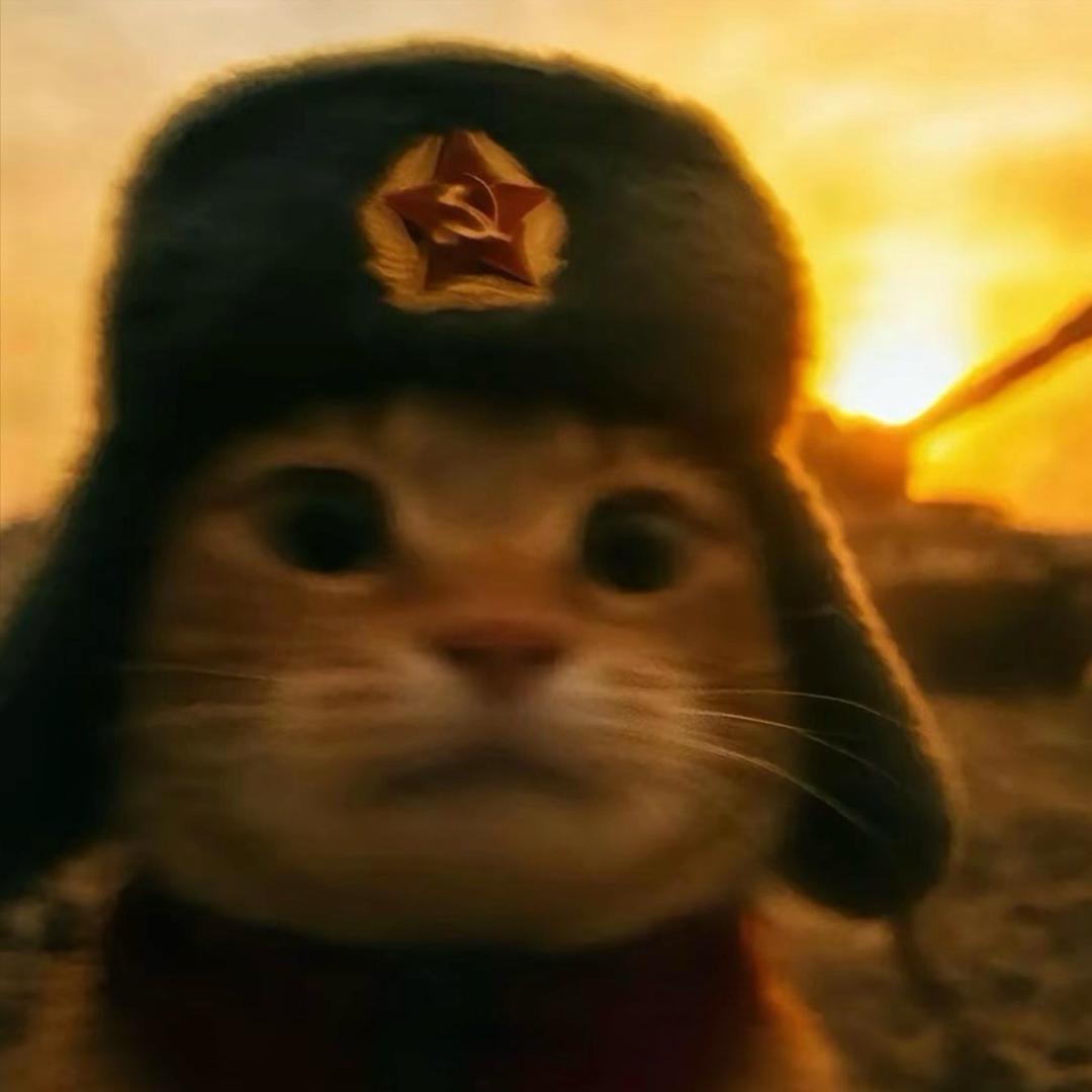 𝙍𝙚𝙫𝙞𝙫𝙚