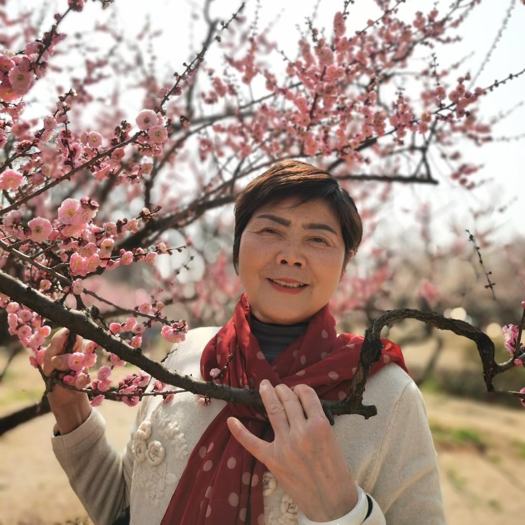 陈世菊