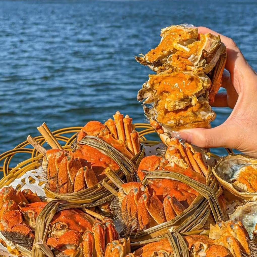 江苏精品大闸蟹明天到