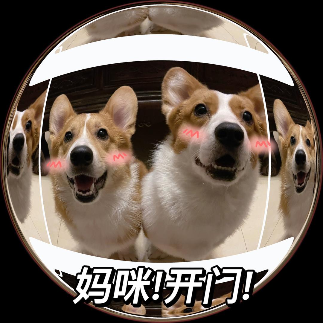 二玫的朋友圈🐶