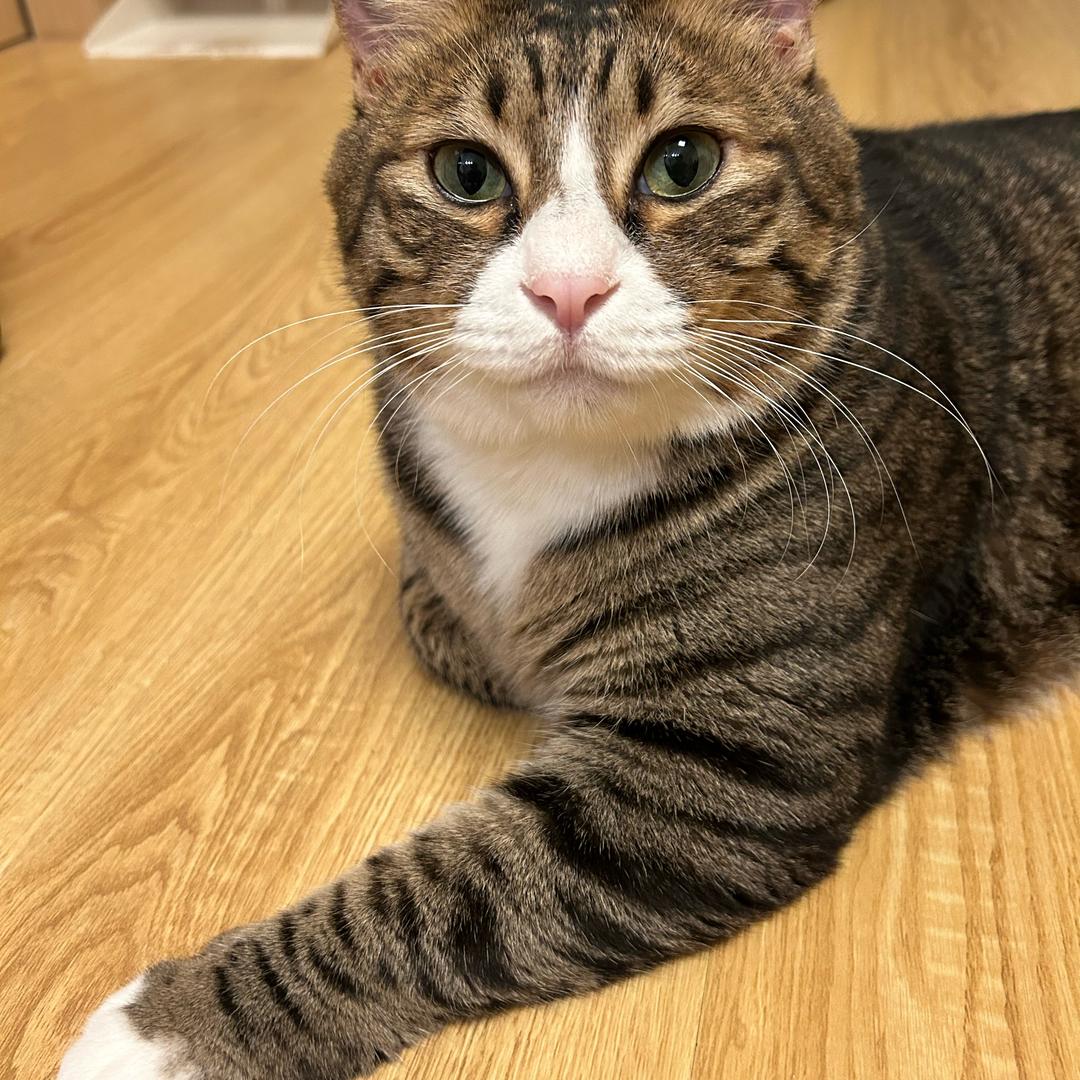 Louie啊健