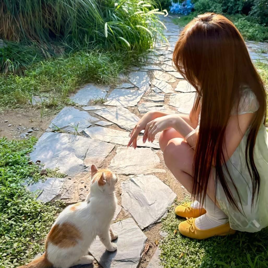 秀崽🐰日记