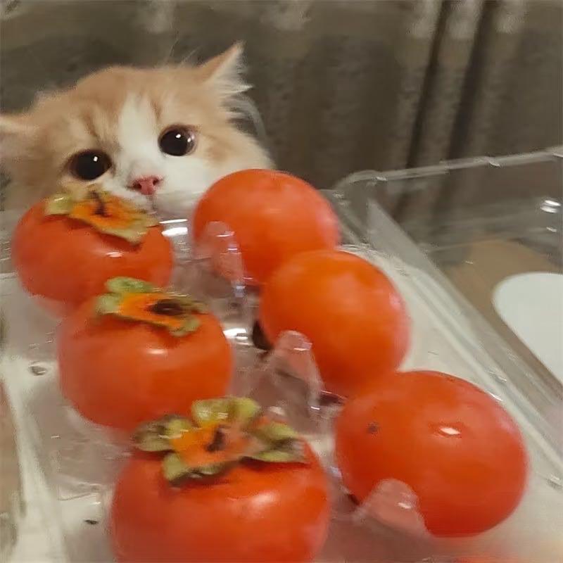 秋