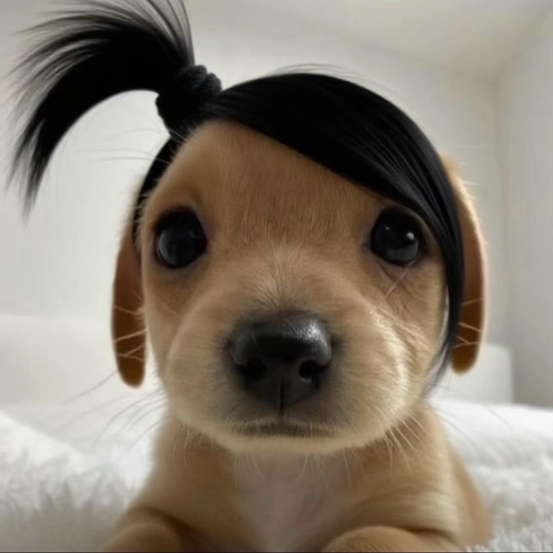 y'