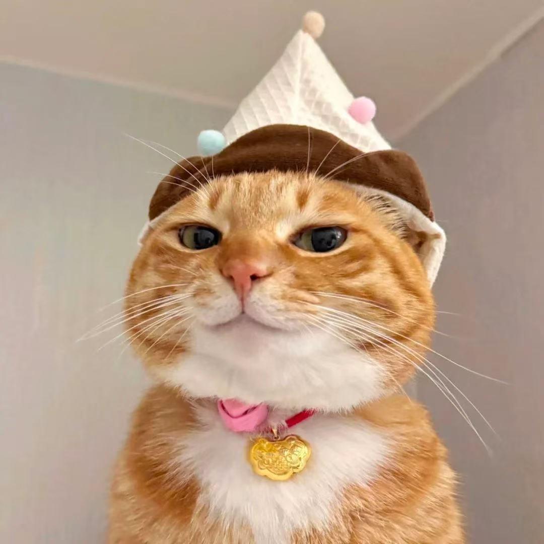 贩卖日落的小橘