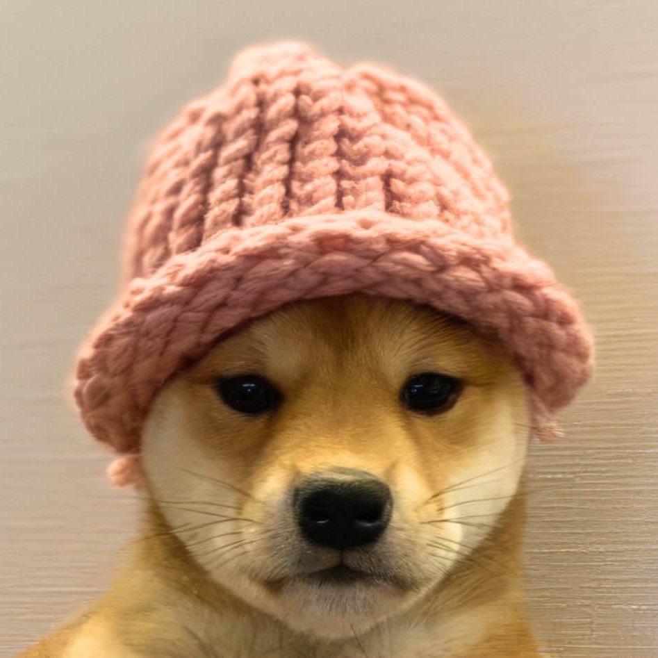 Dogwifhat