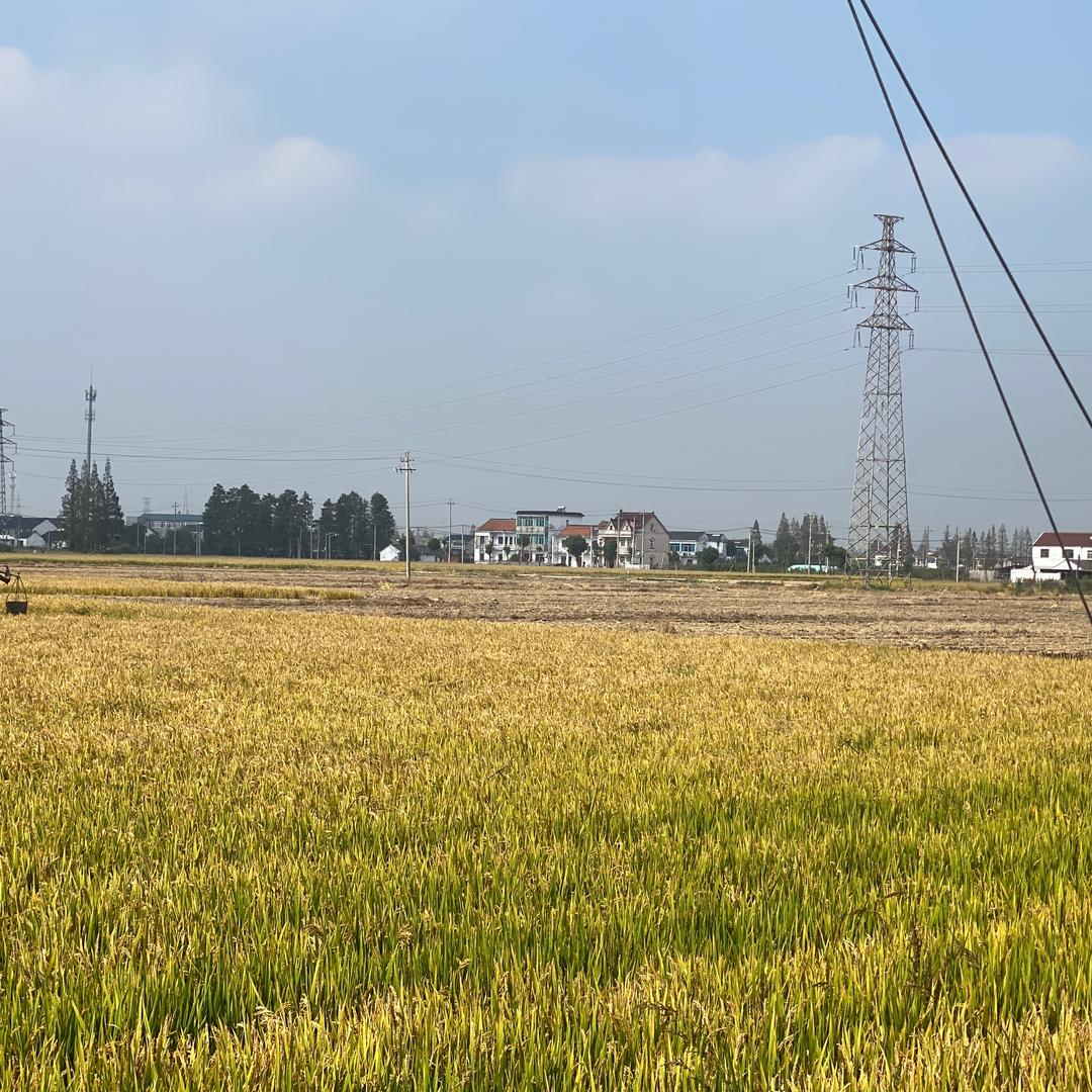 没