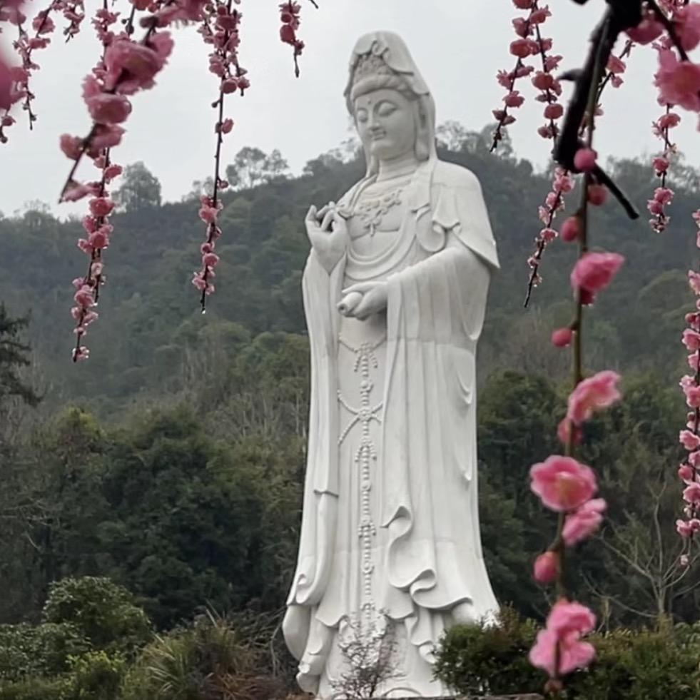 💞观音