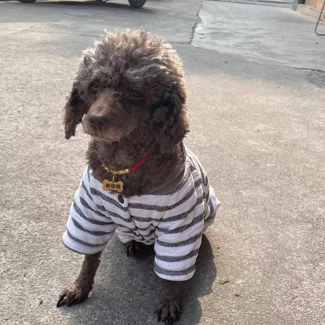 叶子（聪聪姐）