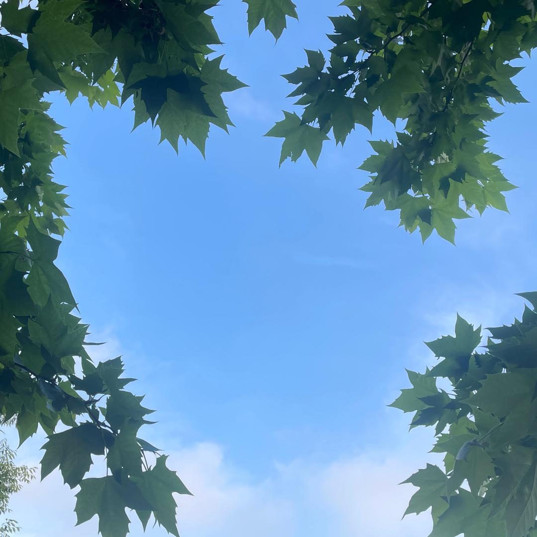 YEARN《熟稔》