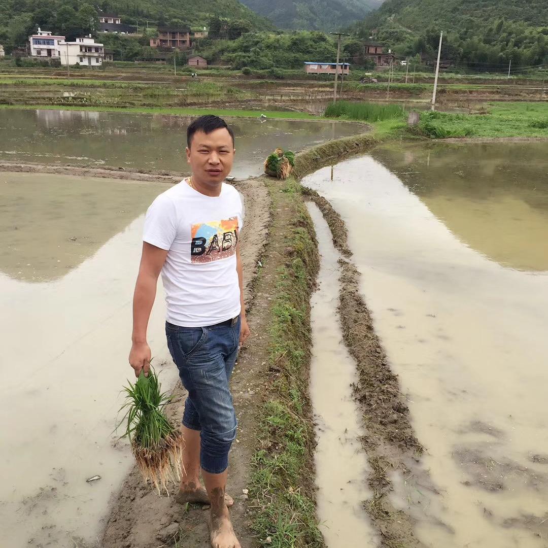 衡阳朱哥