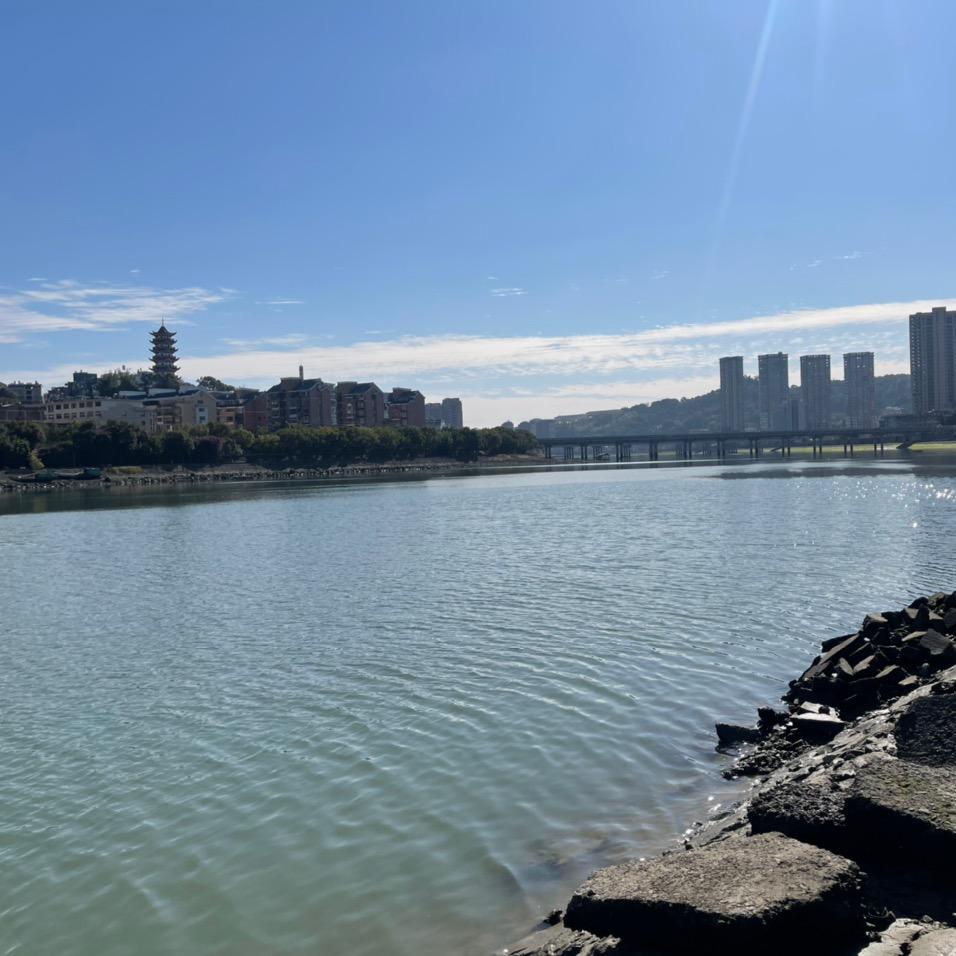 大龙说海鲜