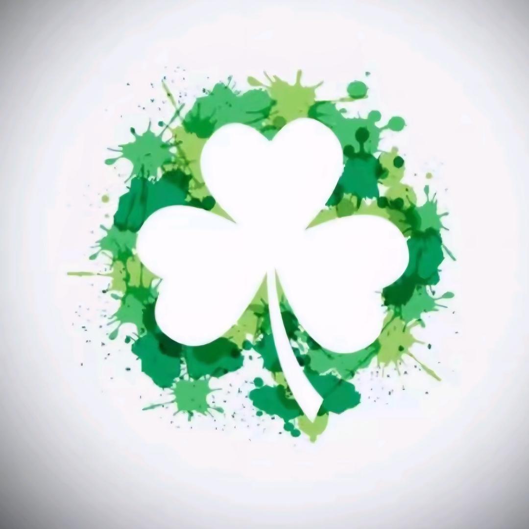 洁癖厅长《阳光花园大酒店》