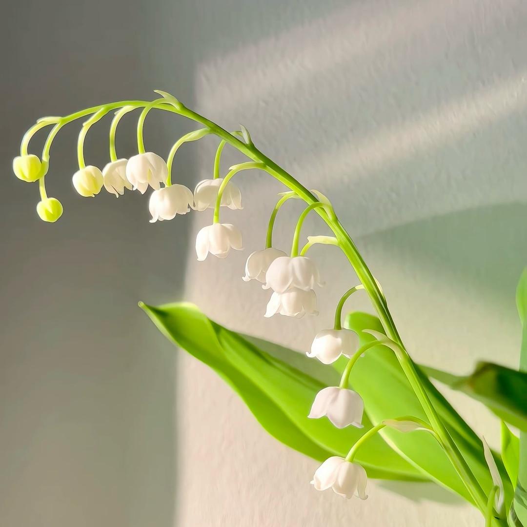 🌈🍀璐璐酱🍀🌟🍊💰🌸🎨